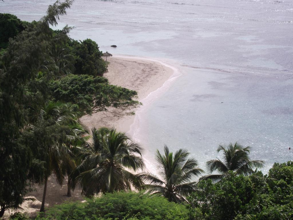 L'Oiseau Du Paradis Vue Mer Studio A Saint Francois A 100 M De La Plage Ruang foto